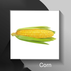 Corn