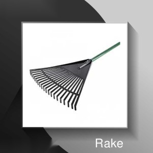 Rake