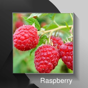 Raspberry