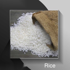 Rice