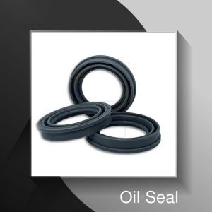 Oil Seal