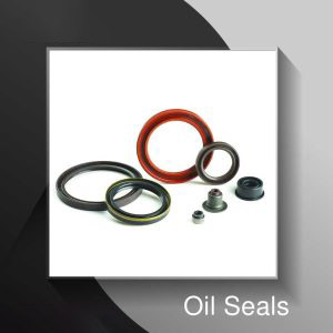 Oil Seals