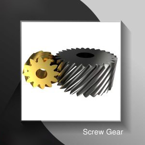 Screw Gear