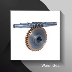 Worm Gear