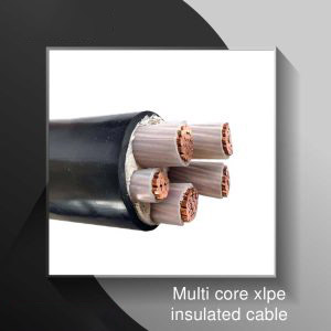multi core xlpe insulated cable